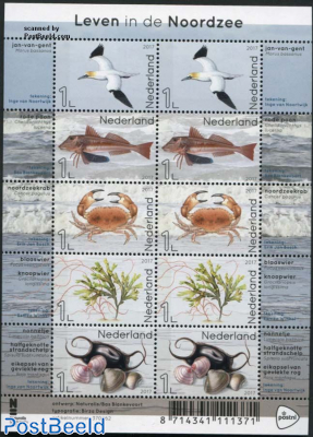 Life in the North Sea m/s (with 2 sets)