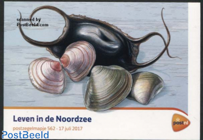 Life in the Northsea, Presentation pack 562