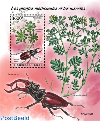 Medical plants and insects