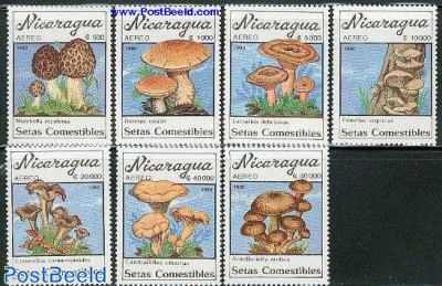 Mushrooms 7v