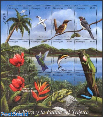 Tropical fauna & flora 12v m/s