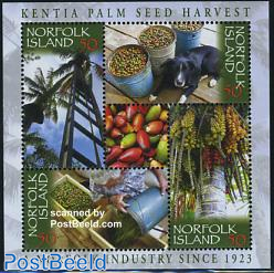 Kentia palm seed harvest s/s