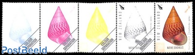 Shells, colour separations 5v [::::]