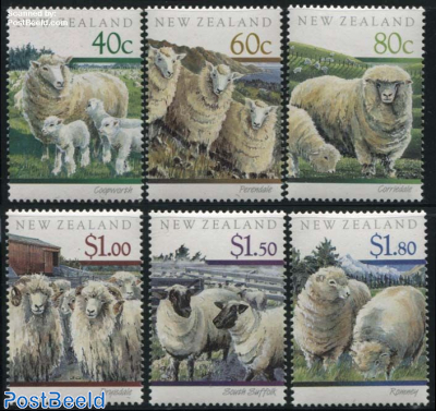Sheep 6v