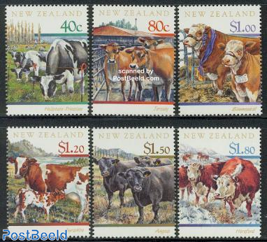 Cattle 6v
