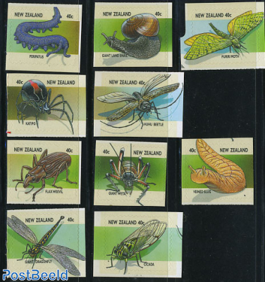 Insects 10v