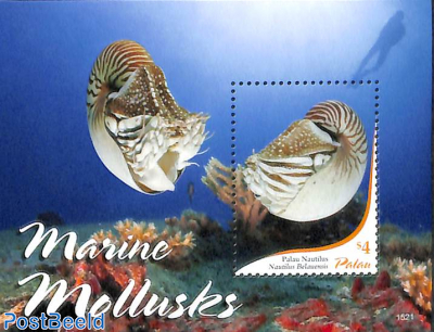Marine mollusks s/s