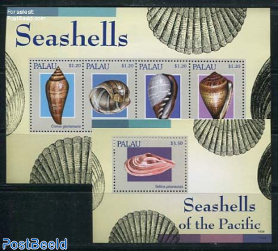 Shells 2 s/s