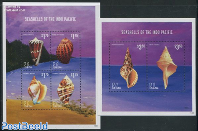 Shells 2 s/s