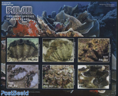 Giant Clams 6v m/s