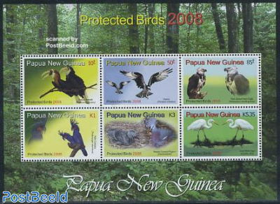 Protected birds 6v m/s