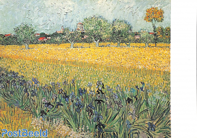 van Gogh, view at Arles with irises