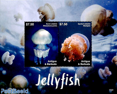 Jellyfish 2v m/s