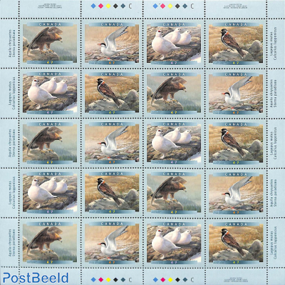 Birds m/s (with 5 sets)