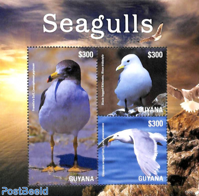 Seagulls 3v m/s