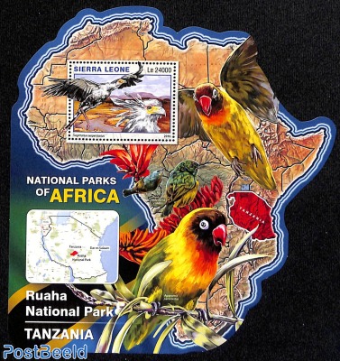 National Park Tanzania