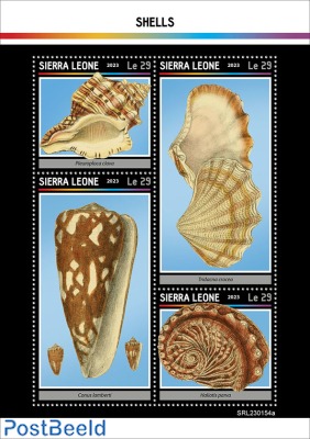 Shells