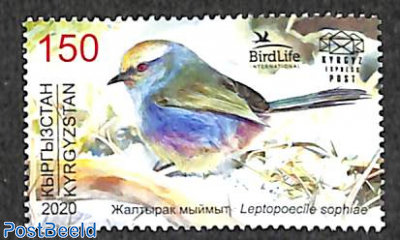Birdlife 1v