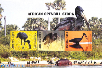 African Openbill Stork 3v m/s