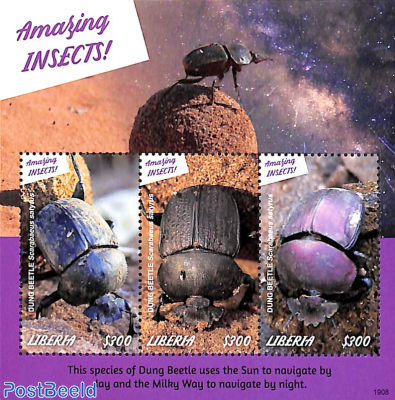 Insects 3v m/s, Dung Beetle