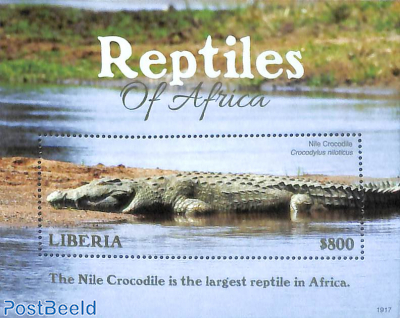 Nile Crocodile s/s