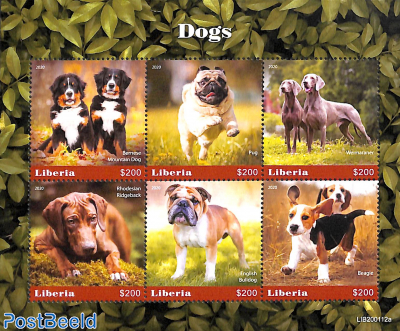 Dogs 6v m/s
