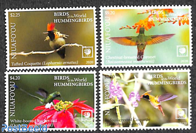 Hummingbirds 4v