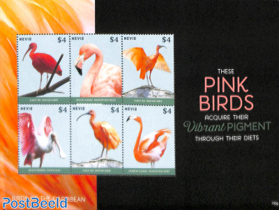 Pink birds 6v m/s