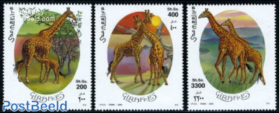 Giraffes 3v