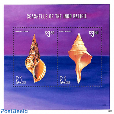 Shells 2v m/s