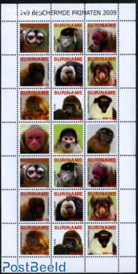Primates m/s (with 2 sets)