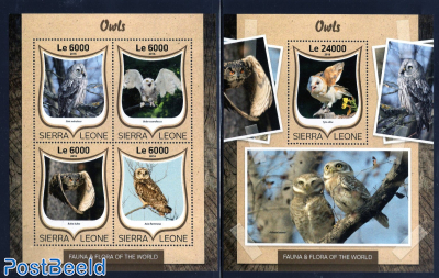 Owls 2 s/s
