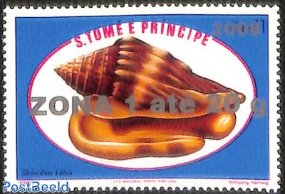 strombus latus shell, overprint
