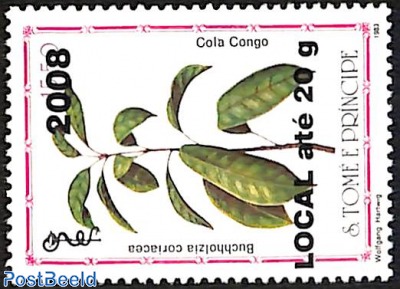 buchholzia coriacea, overprint