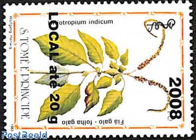 heliotropium indicum, overprint
