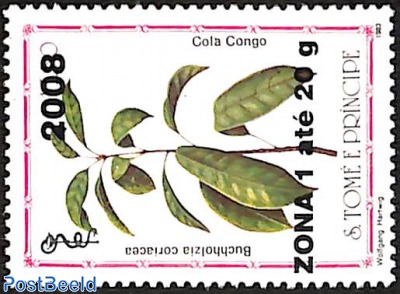 buchholzia coriacea, overprint