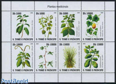 Medicinal plants 8v m/s  (issued 31 dec 2007 but with year 2008 on stamps)