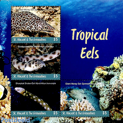 Tropical Eels 4v m/s