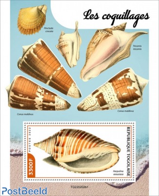 Shells