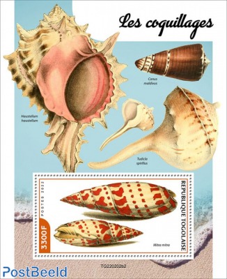 Shells