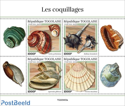 Shells