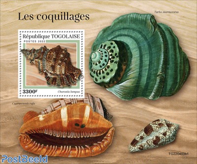 Shells