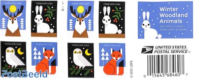 Winter Woodland Animals booklet s-a, double sided