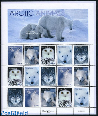 Arctic animals m/s