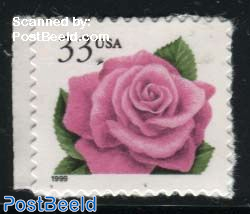 Pink Rose 1v (with year 1999)