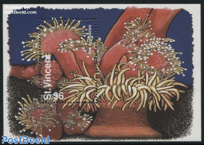 Sea anemones s/s