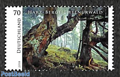 Harz, Bergfichtenurwald 1v