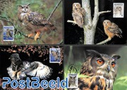 WWF, Owls 4v