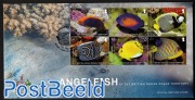 Angelfish 6v m/s