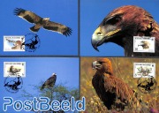 WWF, Birds of Prey 4v
